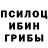 Бошки Шишки индика nesti taim