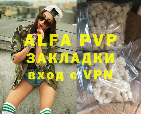 шишки Инта