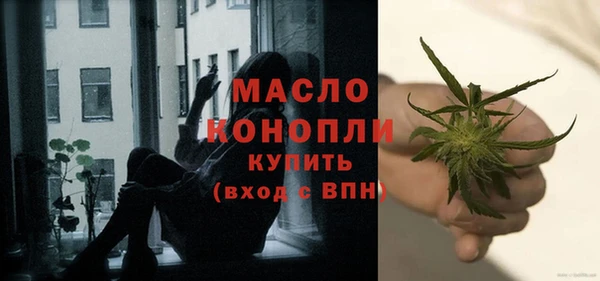 прущая мука Вяземский