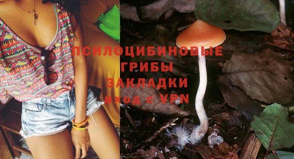 шишки Инта