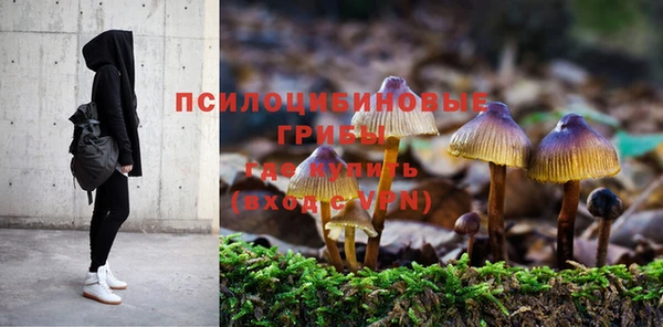 твердый Вязники