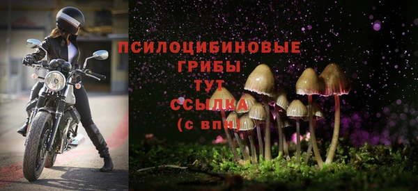 ALPHA PVP Вязьма