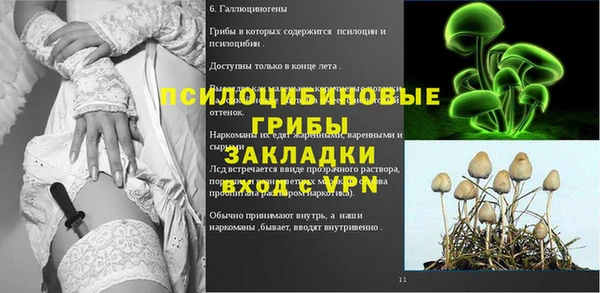 прущая мука Вяземский