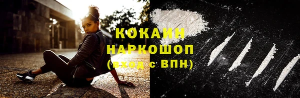 прущая мука Вяземский
