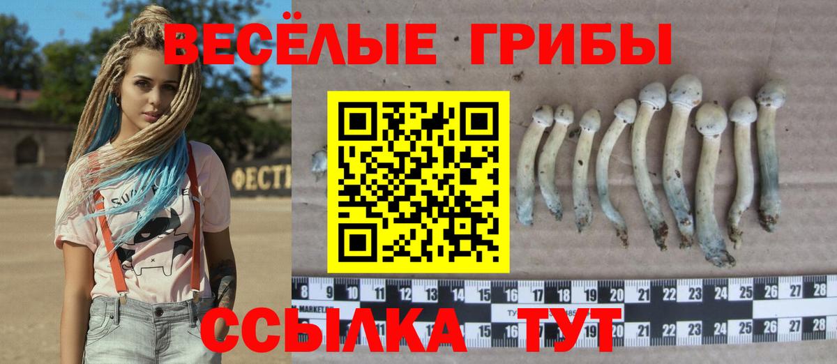 Псилоцибиновые грибы MAGIC MUSHROOMS Мурманск